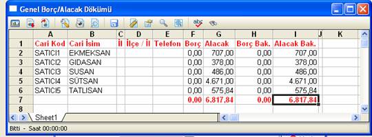 netsis muhasebe fatura örnek